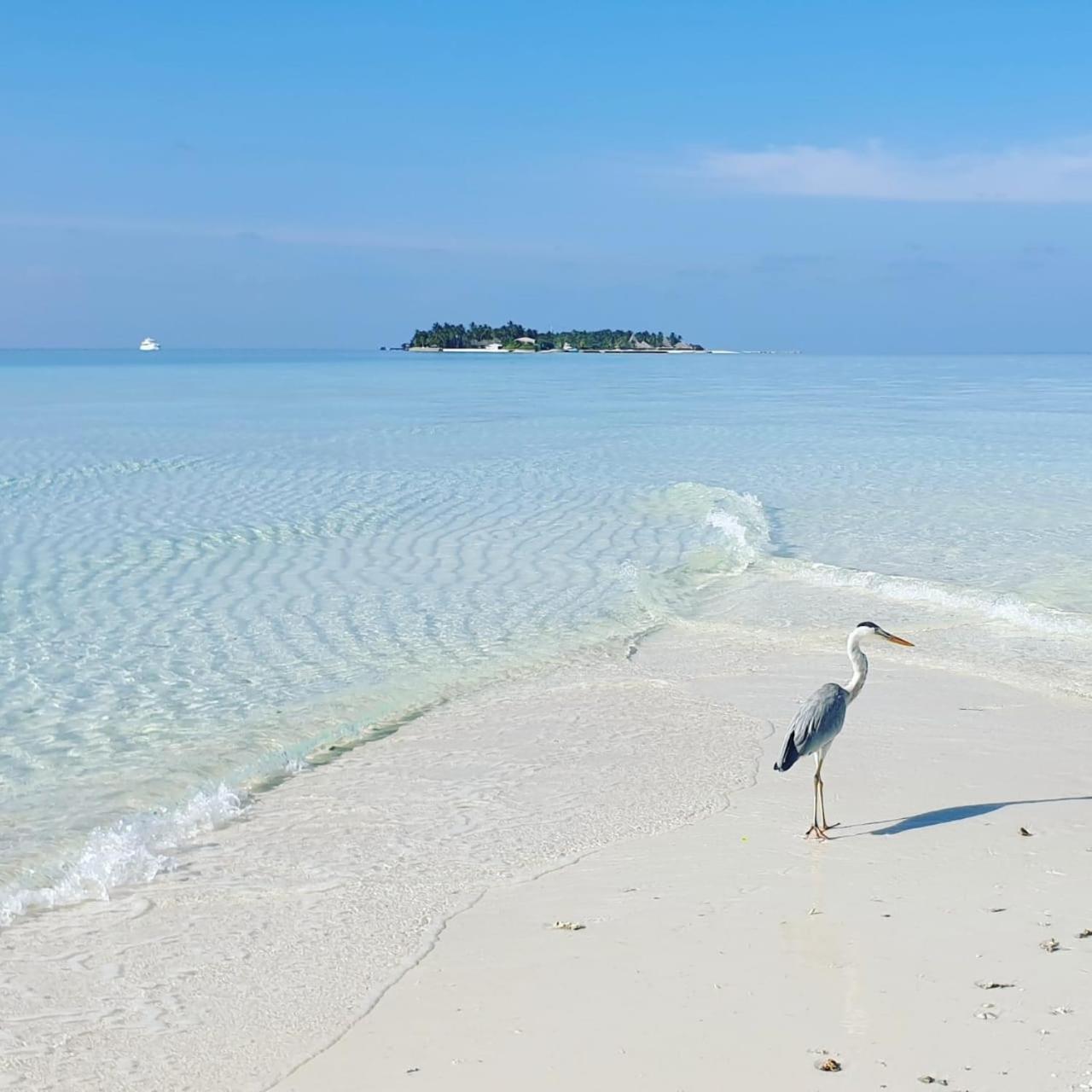 Ukulhas Villa Beach Hotel Bagian luar foto